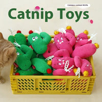 HKM-8240957 Colorful Cactus Cat Bite-Resistant Polyester Toy in Pink and Green
