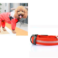 HKM-8241853 Lightweight Waterproof Pet Poncho with Reflective Fiber Optic Lights for Dogs