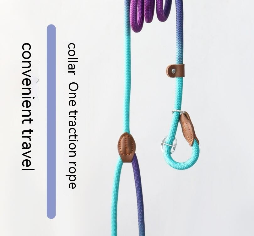 HKM-8246845 Colorful Durable Nylon Pet Hand Holding Rope in Various Combinations