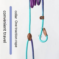 HKM-8246845 Colorful Durable Nylon Pet Hand Holding Rope in Various Combinations