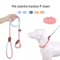 HKM-8246845 Colorful Durable Nylon Pet Hand Holding Rope in Various Combinations