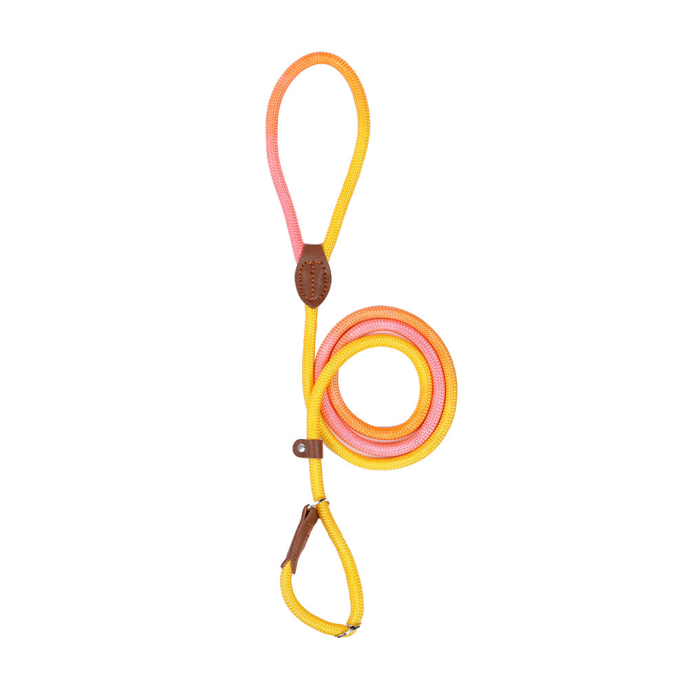 HKM-8246845 Colorful Durable Nylon Pet Hand Holding Rope in Various Combinations
