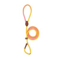 HKM-8246845 Colorful Durable Nylon Pet Hand Holding Rope in Various Combinations