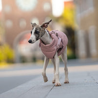 HKM-8251581 Warm Thick Windproof Dog Clothes in Smoke Powder and Khaki Beige ¨C Sizes S to 5XL