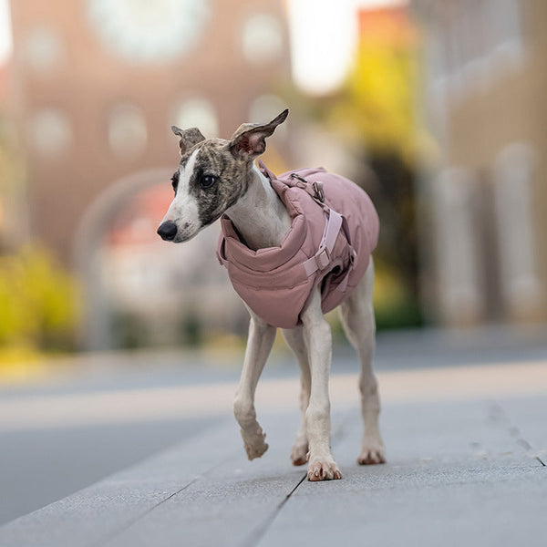 HKM-8251581 Warm Thick Windproof Dog Clothes in Smoke Powder and Khaki Beige ¨C Sizes S to 5XL