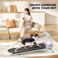 HKM-8252477 Quiet Smart Pet Treadmill for Small to Medium Dogs - Adjustable Speed, Foldable Design, LED Display, 0.5-6.0 MPH Speed Range