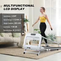 HKM-8252477 Quiet Smart Pet Treadmill for Small to Medium Dogs - Adjustable Speed, Foldable Design, LED Display, 0.5-6.0 MPH Speed Range