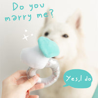 HKM-8256573 Plush Sniffing Toy Ring for Dogs - Soft Flannel, Washable Design, 120mm x 120mm x 140mm