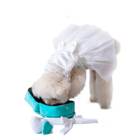 HKM-8256573 Plush Sniffing Toy Ring for Dogs - Soft Flannel, Washable Design, 120mm x 120mm x 140mm