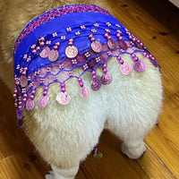 HKM-8258365 Corgi Belly Dance Sequined Waist Chain in Vibrant Colors