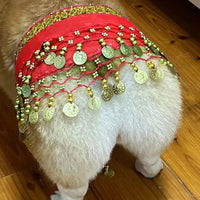 HKM-8258365 Corgi Belly Dance Sequined Waist Chain in Vibrant Colors