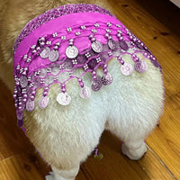 HKM-8258365 Corgi Belly Dance Sequined Waist Chain in Vibrant Colors