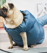 HKM-8266173 Automatic Pet Drying Bag with Quick-Drying Hair Dryer for Bathing Dogs