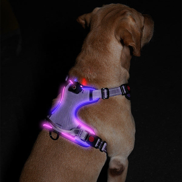 HKM-8267581 USB Rechargeable LED Pet Chest and Back Strap in Multiple Colors and Sizes