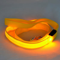 HKM-8268093 Glowing LED Pet Leash - Rechargeable Nylon Double-Sided Traction Belt, 120CM Length, Multiple Colors Available