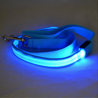 HKM-8268093 Glowing LED Pet Leash - Rechargeable Nylon Double-Sided Traction Belt, 120CM Length, Multiple Colors Available