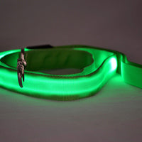 HKM-8268093 Glowing LED Pet Leash - Rechargeable Nylon Double-Sided Traction Belt, 120CM Length, Multiple Colors Available