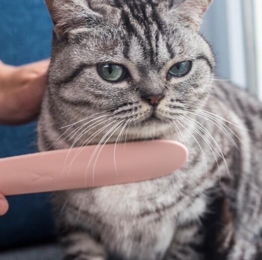 HKM-8269885 Cat Tongue Comb for Gentle Grooming ¨C Soft ABS, Dual-Sided Design in Morandi Gray and Powder