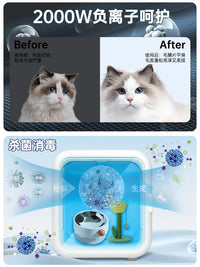HKM-827155 Smart Temperature Control Pet Dryer for Small Dogs and Cats - Indoor Drying Box, Eco-Friendly, Quiet Operation