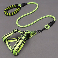 HKM-8273341 Nylon Adjustable Dog Leash and Chest Harness Set in Multiple Colors