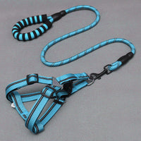 HKM-8273341 Nylon Adjustable Dog Leash and Chest Harness Set in Multiple Colors