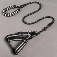 HKM-8273341 Nylon Adjustable Dog Leash and Chest Harness Set in Multiple Colors
