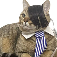 HKM-8273725 Funny Cat Wig Costume Accessory - Black Polyester Imitation Braid for Dress-Up