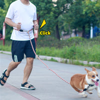 HKM-8273853 Multifunctional Adjustable Dog Traction Rope with Nylon Weave and High-Density Polyester