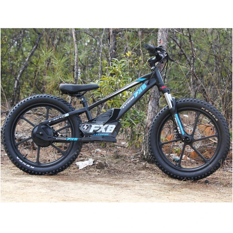 HKM-827475 Electric Balance Bike for Kids 8-15 Years - 20 Inch Aluminum Alloy, 600W Brushless Motor, Disc Brakes, Adjustable Seat
