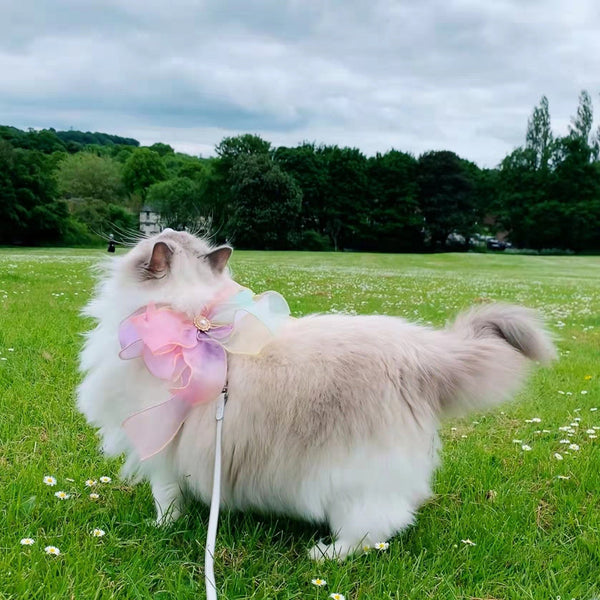 HKM-8275517 Retractable Butterfly Pet Leash with Break-Free Features - Available in Crystal Purple and Neon Pink