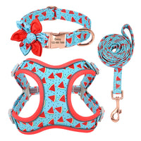 HKM-827923 Small Dog Leash with Adjustable Collar for Teddy and Corgi Breeds