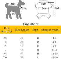 HKM-8281277 Winter Flower Padded Jacket for Corgis, Teddy Bears, and Pomeranians