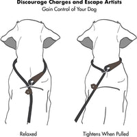 HKM-8285373 Dog Nylon Tow Rope Leash - Strong Pull-Resistant P Chain Walking Lead in Multiple Colors