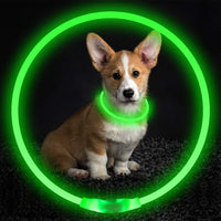 HKM-8287549 USB Rechargeable Glow-in-the-Dark Safety Collar for Dogs - Visible Up to 500 Meters, Available in Multiple Sizes