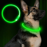 HKM-8287549 USB Rechargeable Glow-in-the-Dark Safety Collar for Dogs - Visible Up to 500 Meters, Available in Multiple Sizes