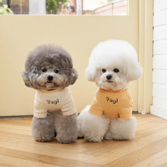 HKM-8291901 Refreshing Color Printed Cotton Dog T-Shirt - Short Sleeves in Multiple Sizes