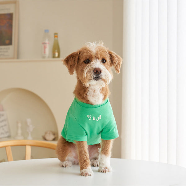 HKM-8291901 Refreshing Color Printed Cotton Dog T-Shirt - Short Sleeves in Multiple Sizes
