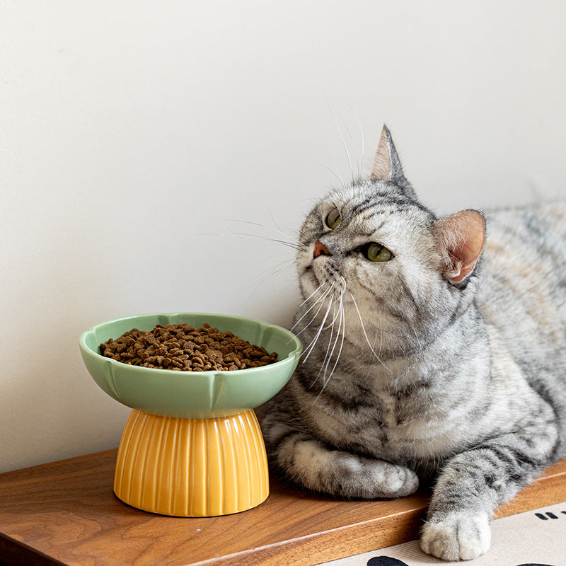 HKM-8303037 Cat Feeding Bowl in Candy Colors - Pink and Green Ceramic Design
