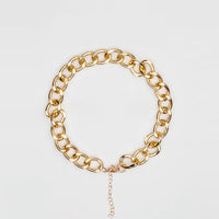 HKM-830355 Metal Gold Necklace for Pets - Available in Medium and Large Sizes with Extension Chain