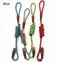 HKM-8306621 Medium Dog Training Leash - Durable Nylon, Various Colors Available (Blue, Red, Green, Beige, Orange), 1.2m Length