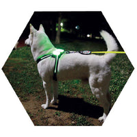 HKM-8308797 USB Rechargeable Luminous Silicone Dog Collar - 7 Colors Available for All Sizes