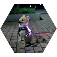 HKM-8308797 USB Rechargeable Luminous Silicone Dog Collar - 7 Colors Available for All Sizes