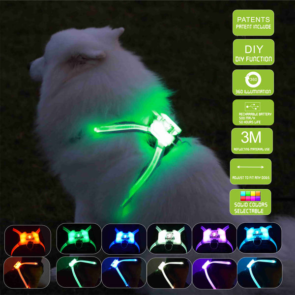 HKM-8308797 USB Rechargeable Luminous Silicone Dog Collar - 7 Colors Available for All Sizes
