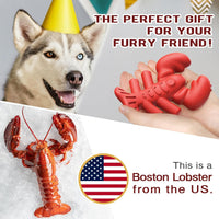 HKM-8310077 Durable Chew Toy for Large and Medium Dogs, Promotes Dental Health and Provides Hours of Fun