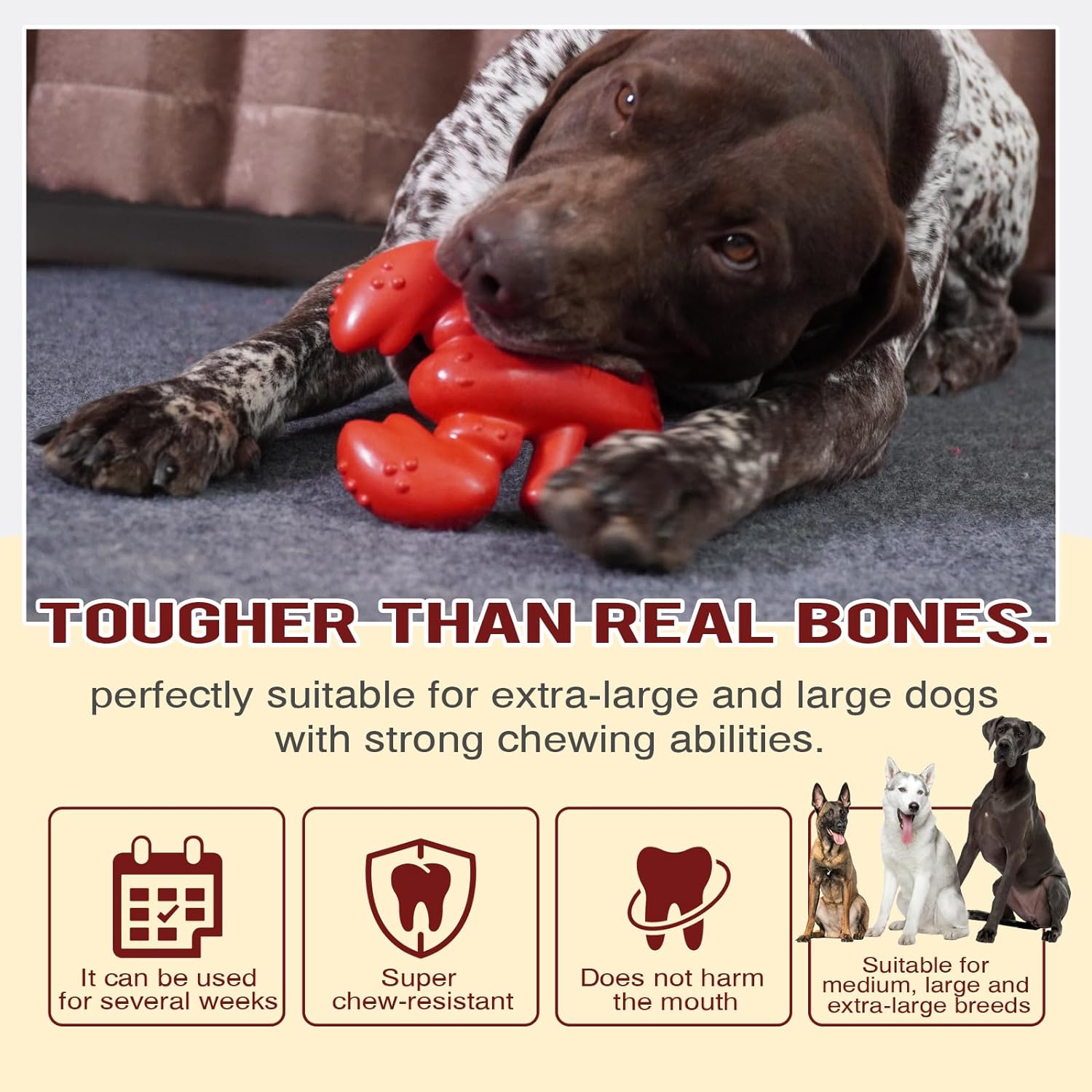 HKM-8310077 Durable Chew Toy for Large and Medium Dogs, Promotes Dental Health and Provides Hours of Fun