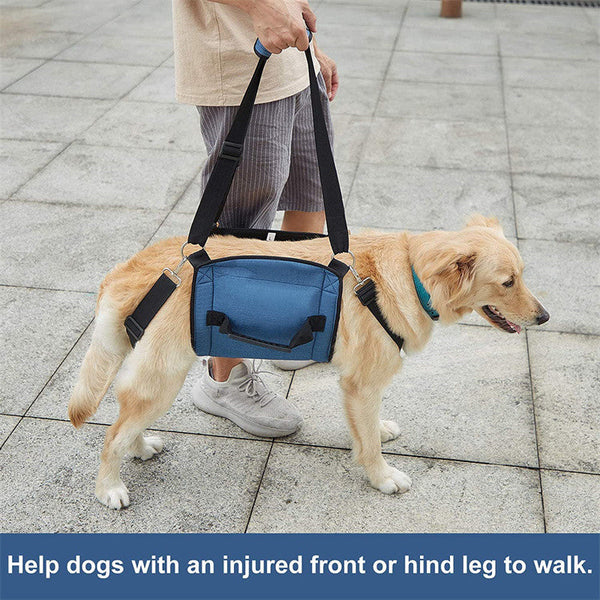 HKM-8311869 Support Sling for Older and Disabled Dogs - Nylon Pet Carrying Aid in Black and Sapphire Blue