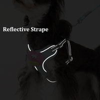HKM-8312381 Adjustable No-Pull Dog Harness with Multifunction Leash - Escape Proof Vest for Medium Dogs