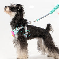 HKM-8312381 Adjustable No-Pull Dog Harness with Multifunction Leash - Escape Proof Vest for Medium Dogs
