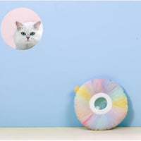HKM-8313149 Rainbow Gradient Soft Waterproof Pet Sterilization Ring for Cats and Small Dogs