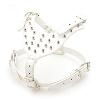 HKM-831379 Three-Piece Dog Safety Harness Set with Collar, Chest Strap, and Leash